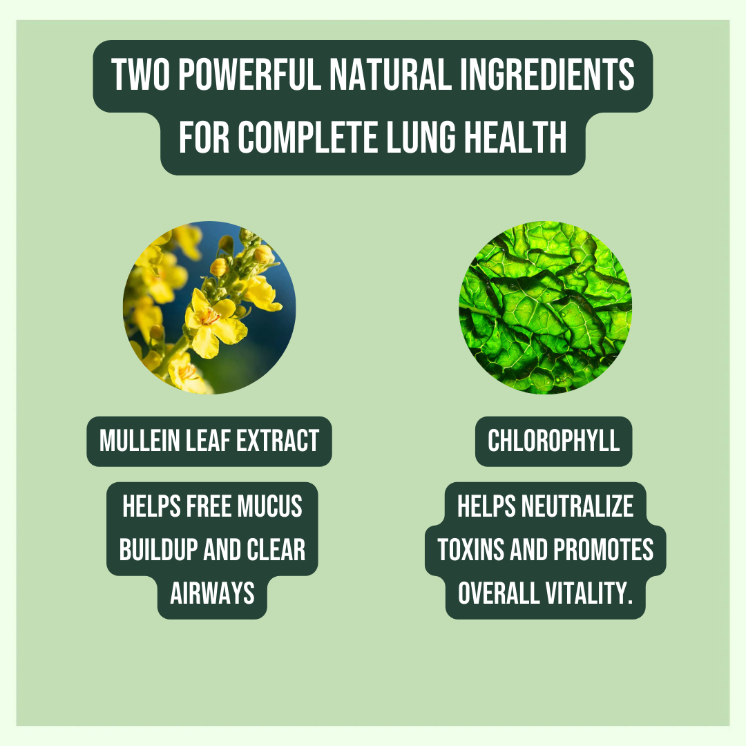 BreatheEasy™ 100% Natural Mullein Leaf Extract