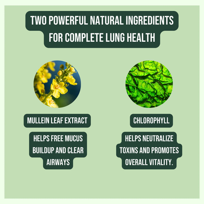 BreatheEasy™ 100% Natural Mullein Leaf Extract